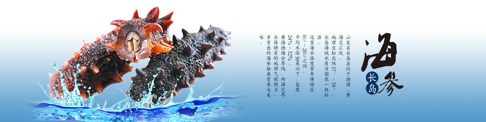 一站式陶瓷教學服務商